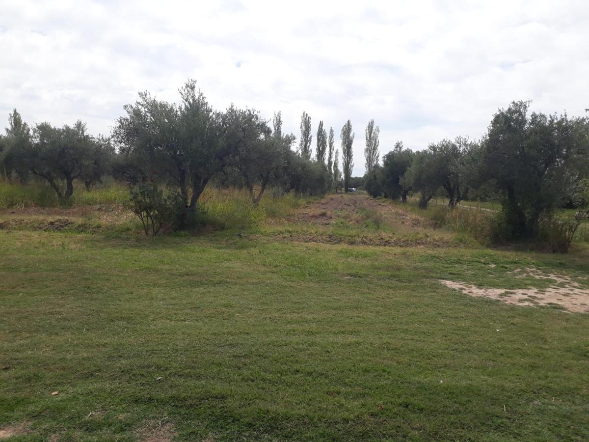 Casa De Campo Las Olivas San Rafael  Kültér fotó