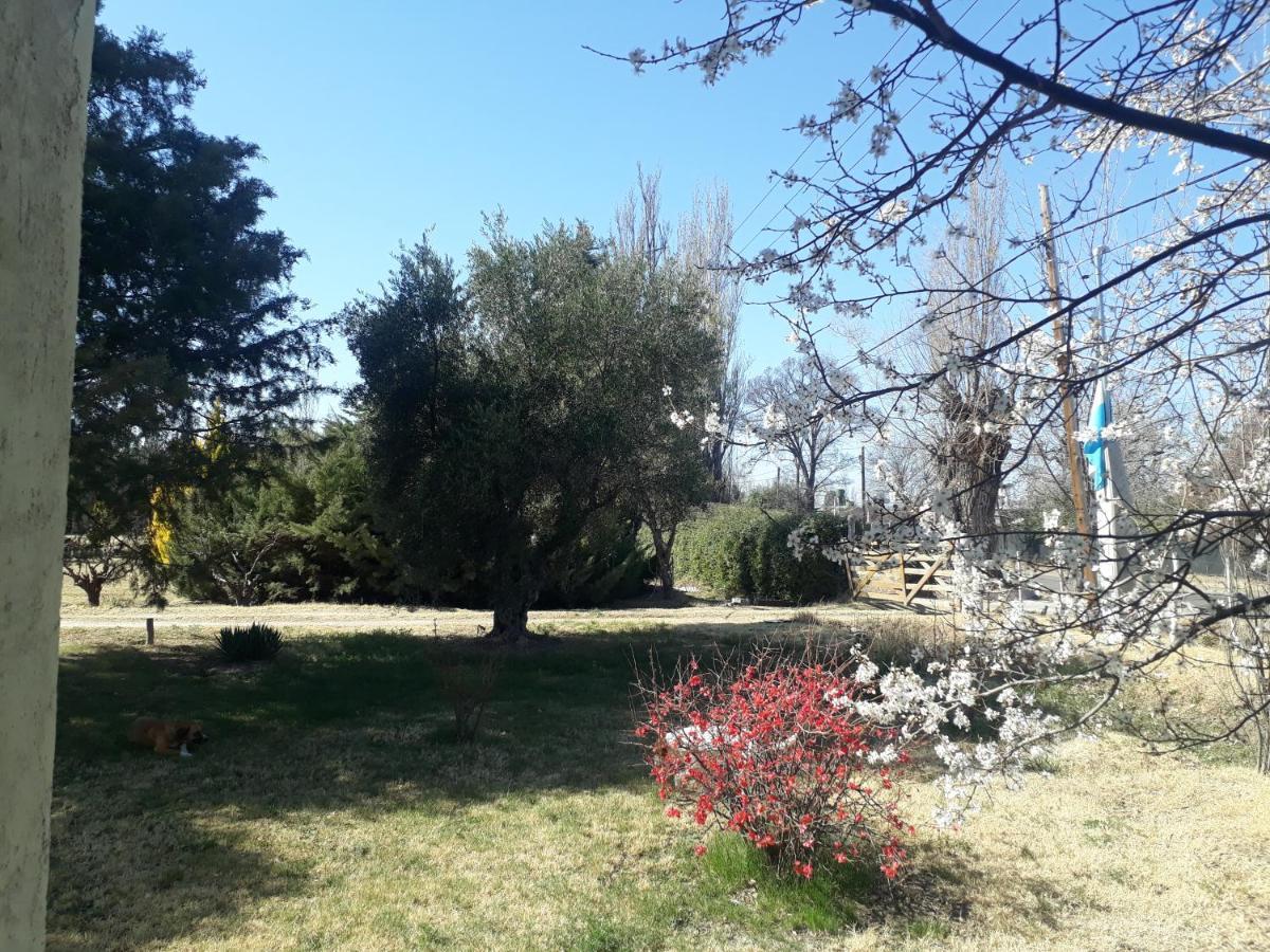 Casa De Campo Las Olivas San Rafael  Kültér fotó
