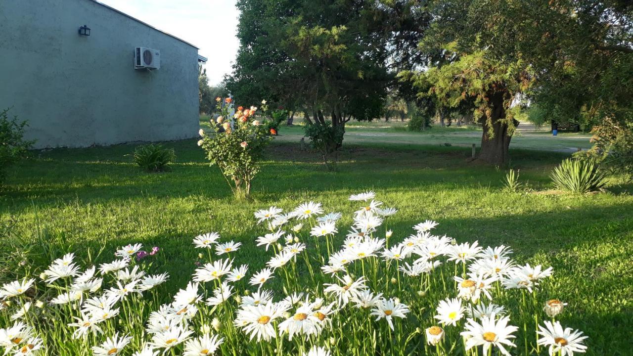 Casa De Campo Las Olivas San Rafael  Kültér fotó