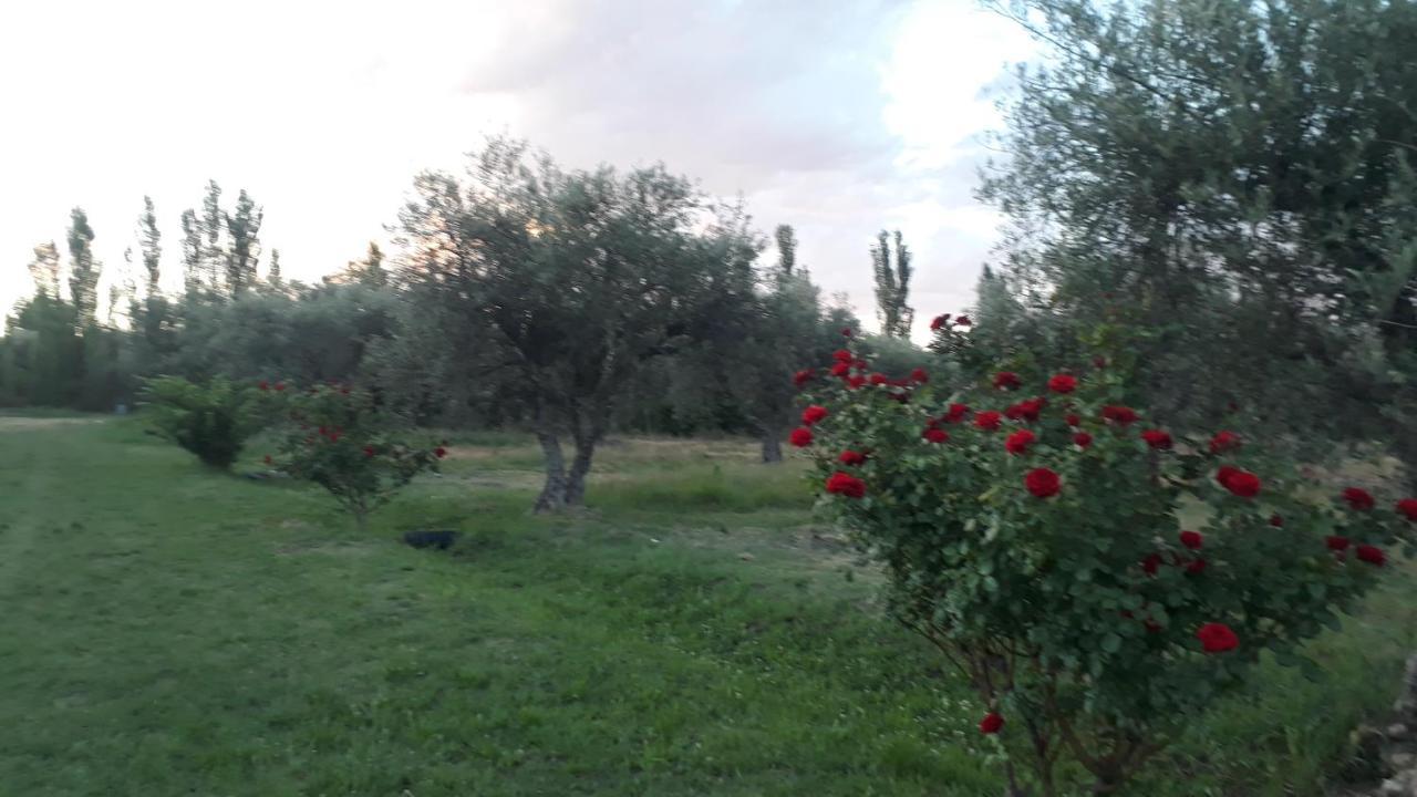 Casa De Campo Las Olivas San Rafael  Kültér fotó