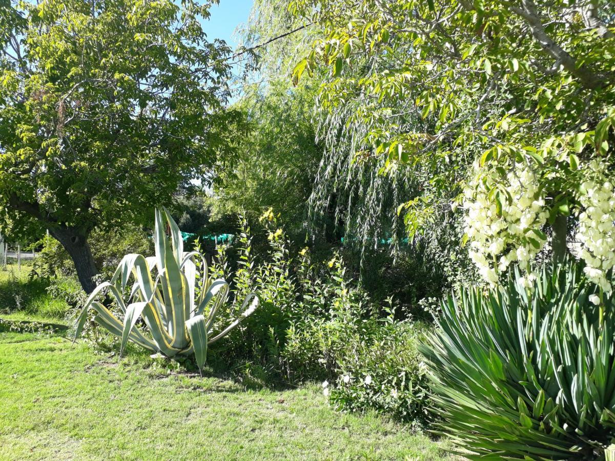 Casa De Campo Las Olivas San Rafael  Kültér fotó