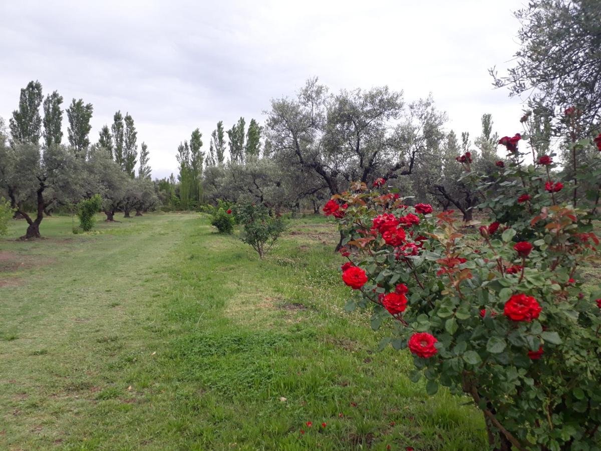 Casa De Campo Las Olivas San Rafael  Kültér fotó